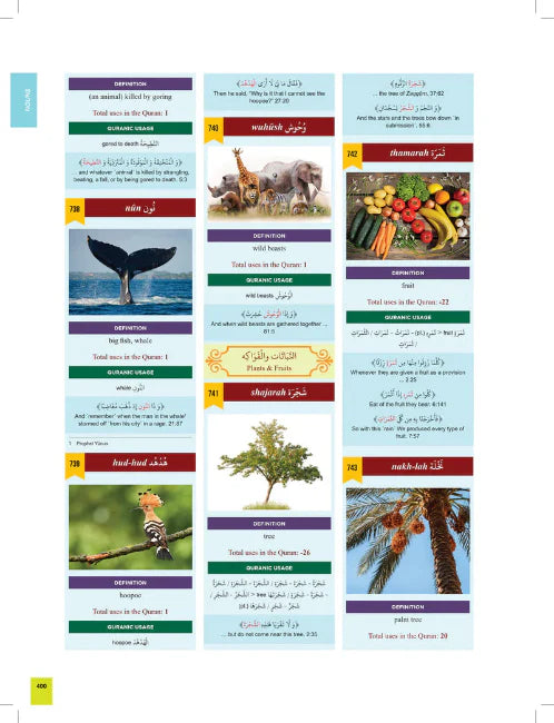 The Clear Quran Series Dictionary قاموس القران المبين (Hardcover)