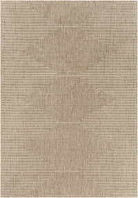 Stephan Dark Beige Outdoor Rug