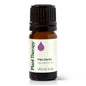 Palo Santo Essential Oil