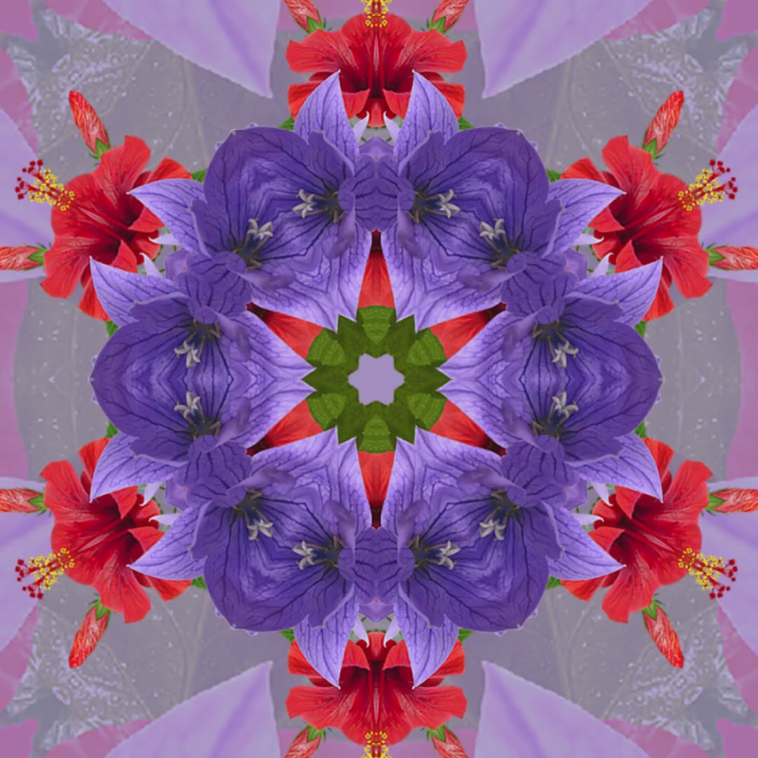 Eyup Sabri Tuncer Cologne Rain Forest 150Ml