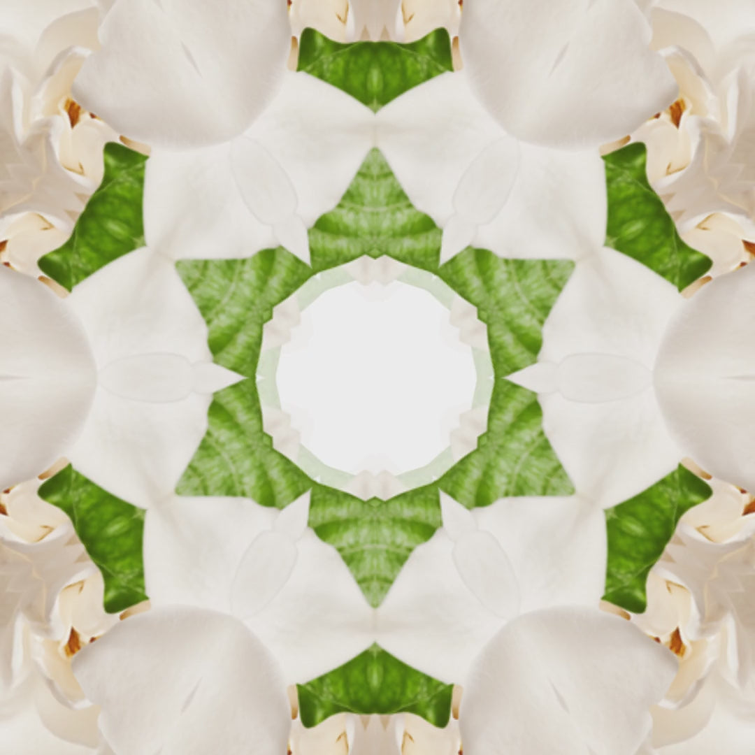 Eyup Sabri Tuncer Cologne Jasmine 150Ml