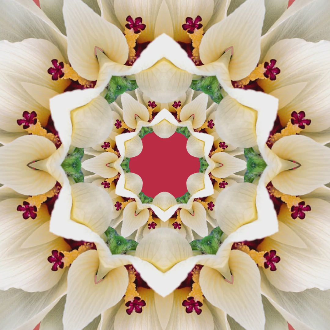 Eyup Sabri Tuncer Cologne Amber 150Ml