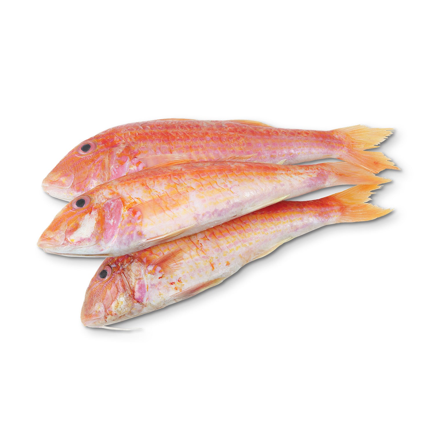 Moda Frozen Red Mullet (Temizlenmis Tekir), Wild Caught, Gutted, 16oz (454g)