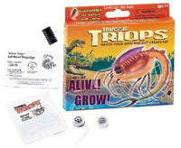 Grow Your Own Triops - A Living Dinosaur