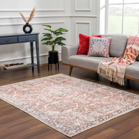 Bian Washable Area Rug - Clearance