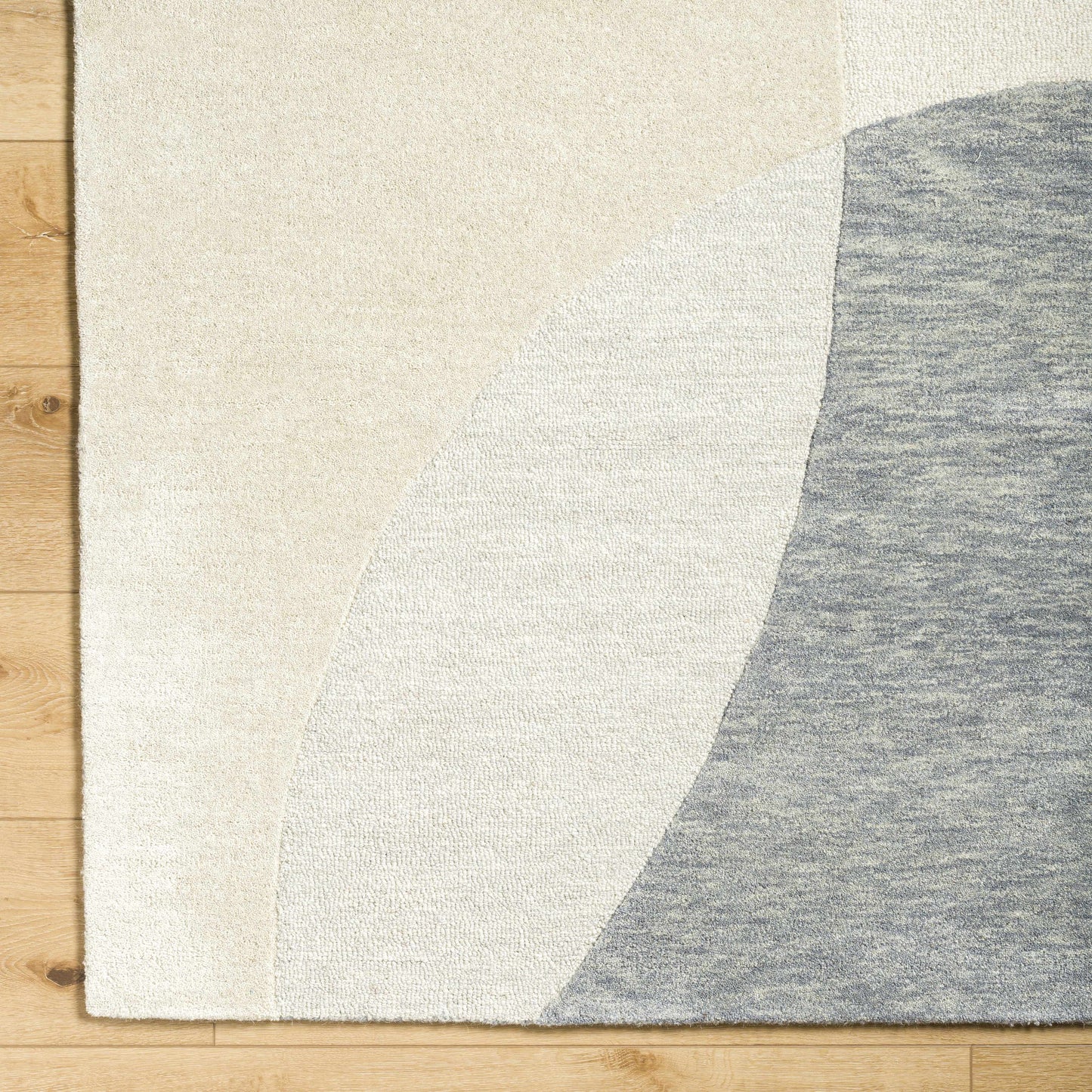 Cassiopeia Gray & Beige Area Rug