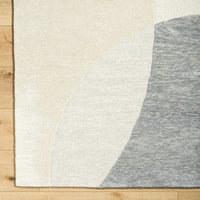 Cassiopeia Gray & Beige Area Rug
