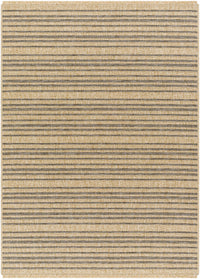 Aphea Indoor & Outdoor Rug
