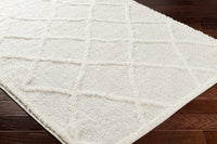 Daube Area Rug - Clearance