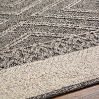 Areli Beige / Brown Outdoor Rug