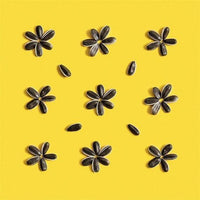 Sunnys Sunflower Seeds | No Salt Added | 7 oz